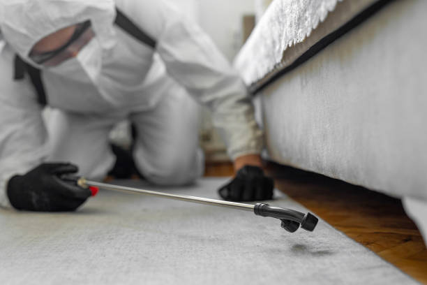 Professional Bed Bug Control technician working in Level Plains, AL